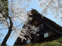 Gero Onsen Gasyo Village Sakura
